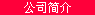 公司简介